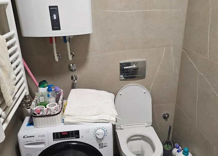 Center * ノヴィ・サド