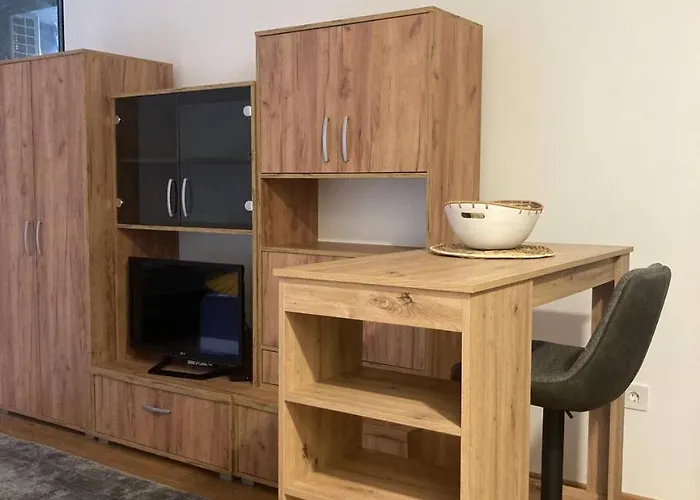 Center アパート ノヴィ・サド