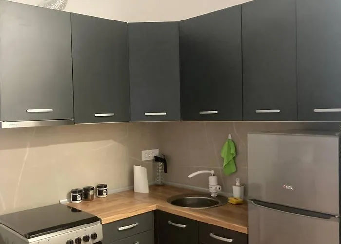 アパート Center ノヴィ・サド